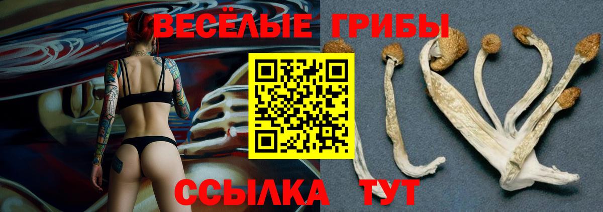 Псилоцибиновые грибы Cubensis Севастополь