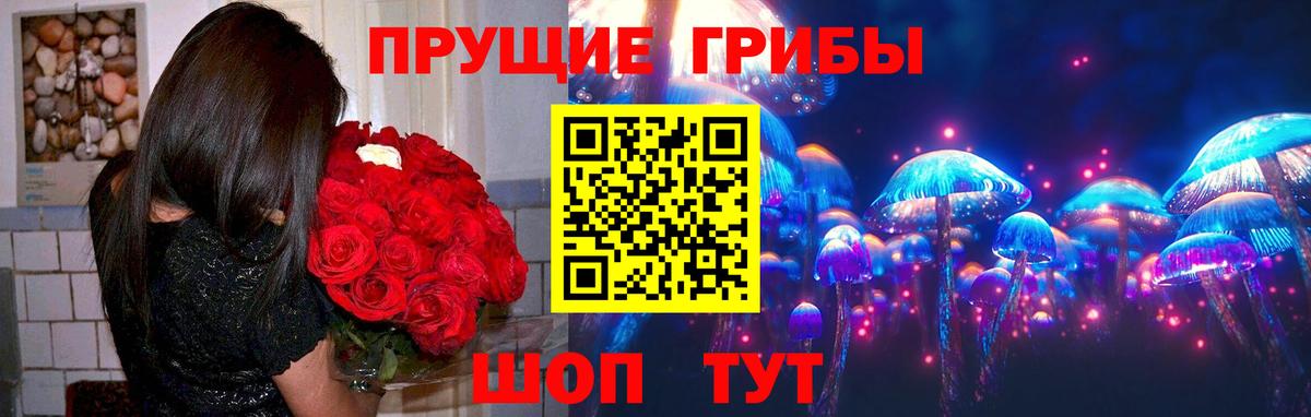 Галлюциногенные грибы Cubensis  Вход с VPN  Севастополь 